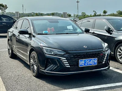 Dongfeng Aeolus Yixuan Max