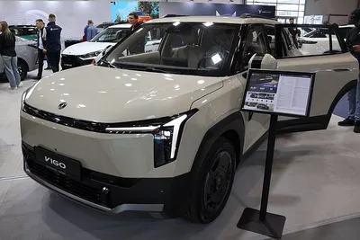 Dongfeng Nammi 06