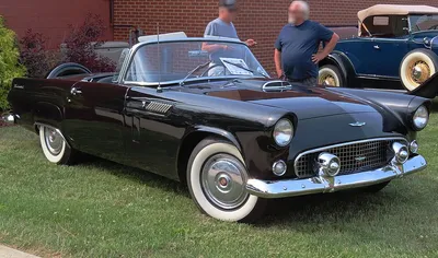 Ford Thunderbird (1st gen)