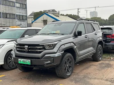 Great Wall Tank 400