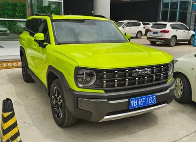 Haval X Dog