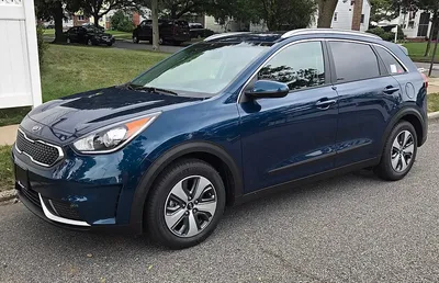 Kia Niro (DE)
