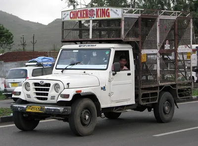 Mahindra Maxx