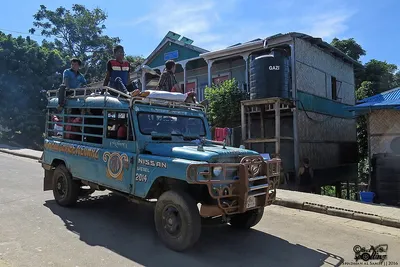 Nissan Jonga