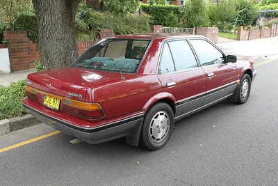 Nissan Pintara (U12)
