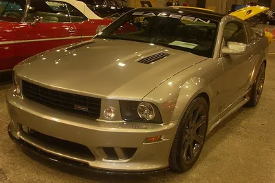 Saleen 302 Series