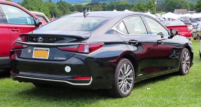 Toyota Windom (XZ10)