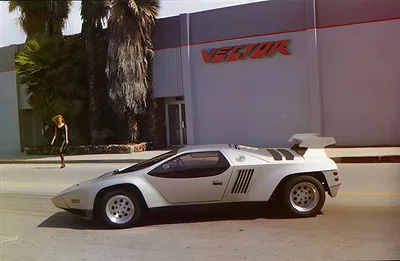 Vector W2