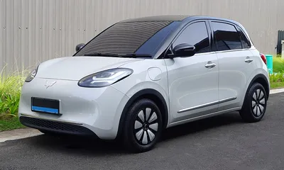 Wuling Bingo