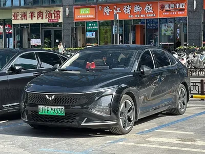 Wuling Starlight